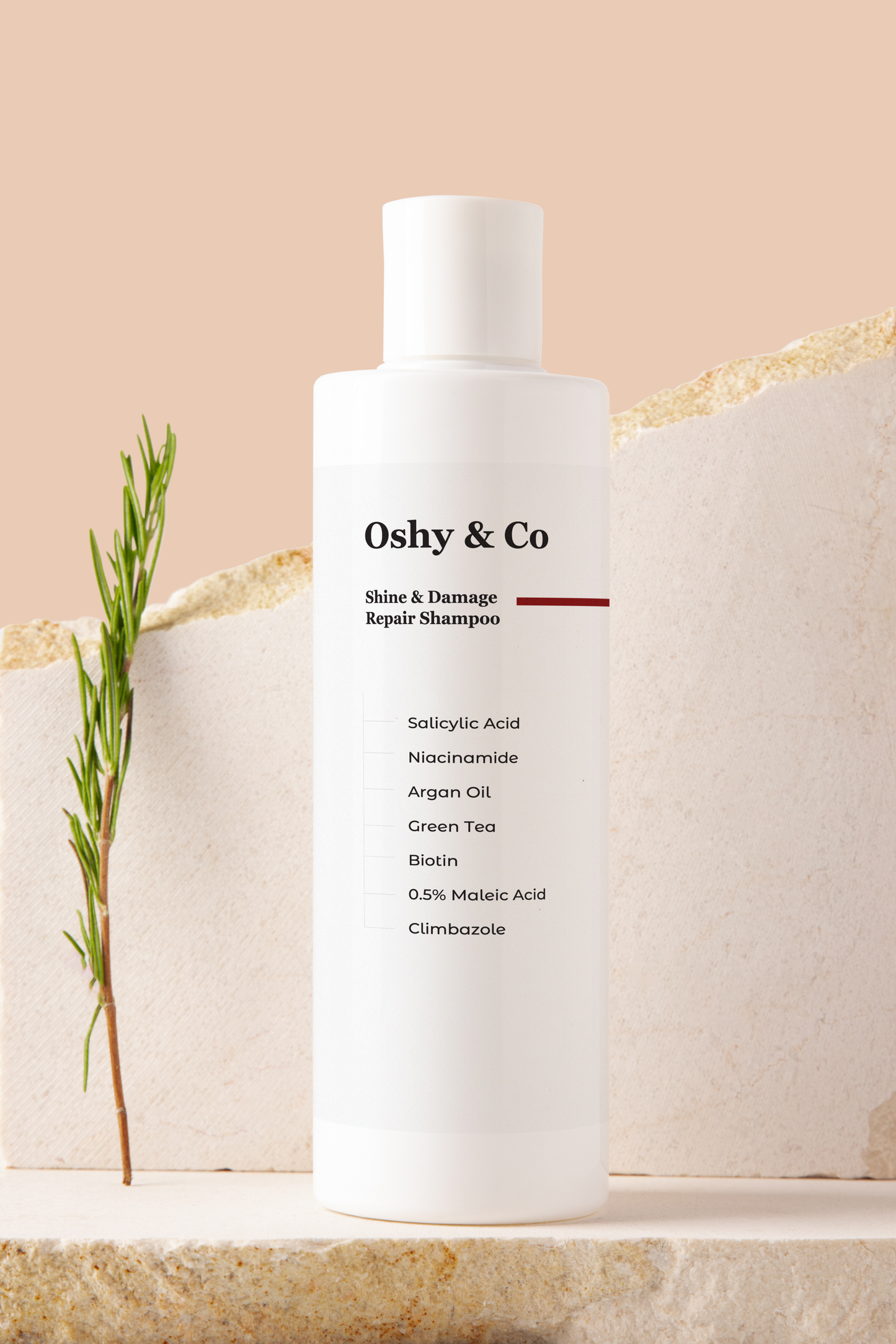 Oshy & Co Anti Hair Fall Shampoo